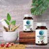Ambhonidhi Pain Relief Oil and Extract Capsule For Joint & Muscle Pain