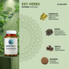 Ambo Pylo Care | Herbal Support for Digestive Health & Piles Care