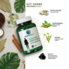 Ambo Powerful Relief Capsules for Joint and Muscle Pain