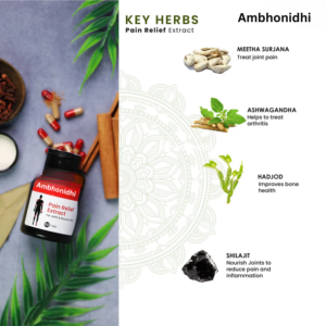 Ambhonidhi Pain Relief Extract Capsules For Joint & Muscle Pain
