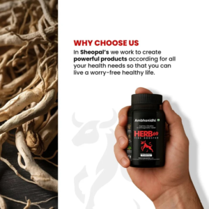 Ambhonidhi’s Herb69 Vibe Booster | An Effective Formula for Energy, Stamina, and Strength