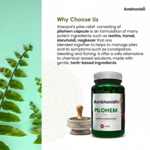 Ambhonidhi Pilohem Capsules | Herbal Support for Better Digestion and Bowel Comfort