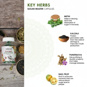 Gemini_Generated_Image_k66vc2k66vc2k66v Ambhonidhi Sugar Master: Helps Manage Sugar Levels