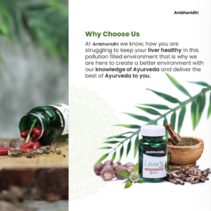 Ambhonidhi LiverX Factor: Detox Your Liver With Liver Care Capsule