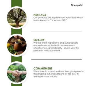 Ambhonidhi’s Pilohem Capsule And Oil Combo | Dual Action Formula For Better Digestion and Anal Comfort