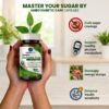 Ambo Diabetic Care | Herbal Support to Manage Blood Sugar