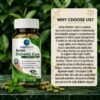 Ambo Diabetic Care | Herbal Support to Manage Blood Sugar