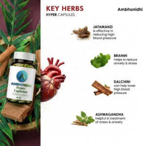Ambo Hypo Space Care | Advanced Ayurvedic Support for Balanced Blood Pressure & Heart Health