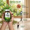 WhatsApp Image 2026-04-30 at 11.19.56 AM Ambo Slim Fit | For Healthy Weight Management & Fat Burning